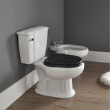 SANITANA GRECIA Complete White Toilet