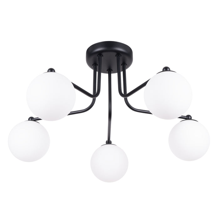 SOLLUX SL.1663 Araña ASTRAL 5 negra negro/blanco