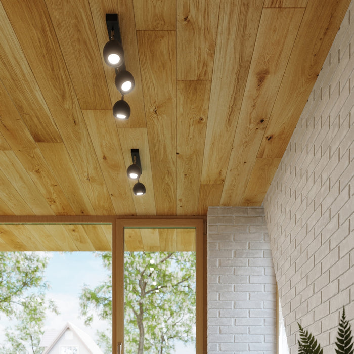 SOLLUX SL.0447 Lámpara de Techo OCULARE 4L Negro