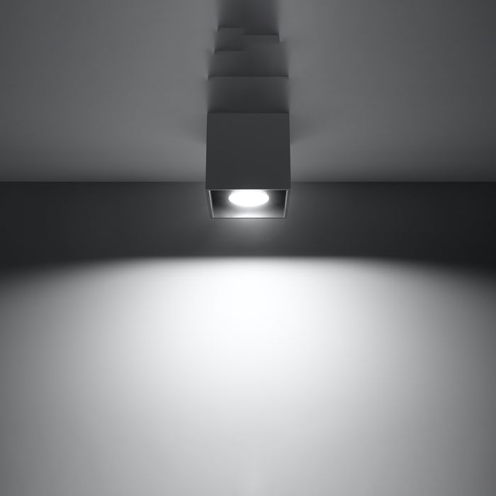 SOLLUX SL.0567 QUAD 1 Anthracite Ceiling Lamp