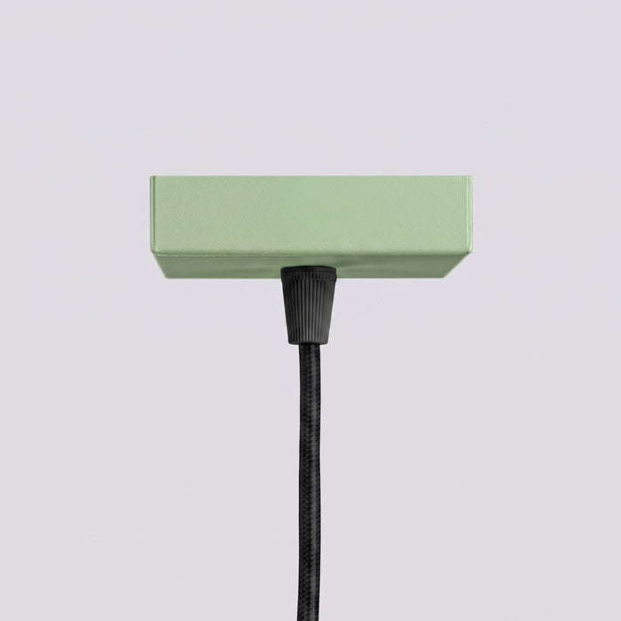 SOLLUX SL.2333 Lámpara colgante KARBON 1 salvia