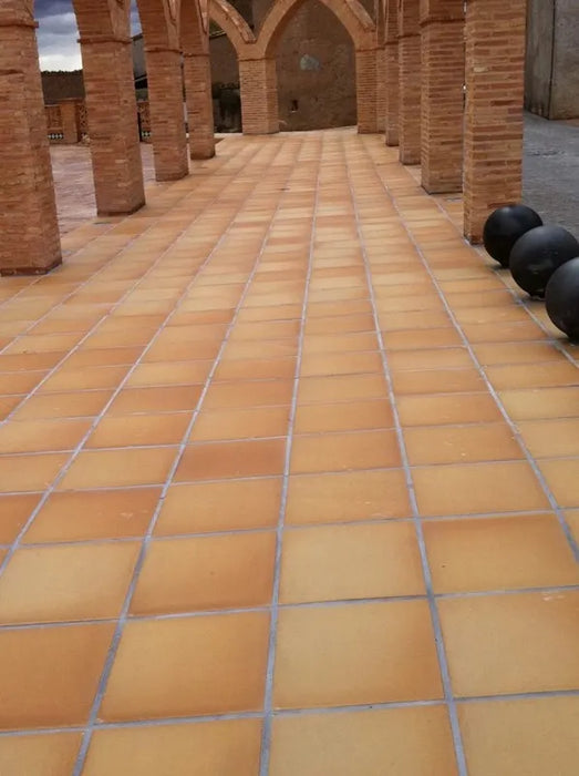 GRES DE ARAGON 900181 Base Natural Extrusionado 20x20