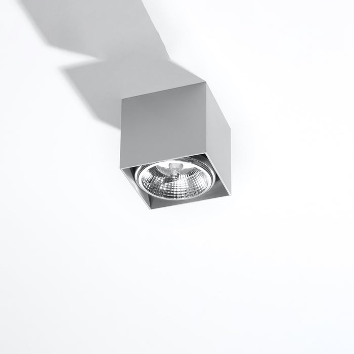 SOLLUX SL.0699 BLAKE Gray Ceiling Lamp