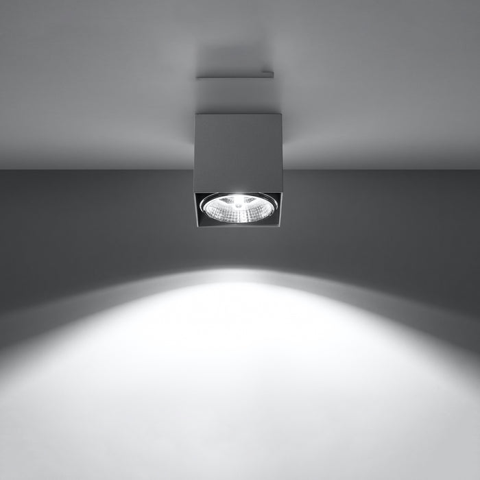 SOLLUX SL.0699 BLAKE Gray Ceiling Lamp