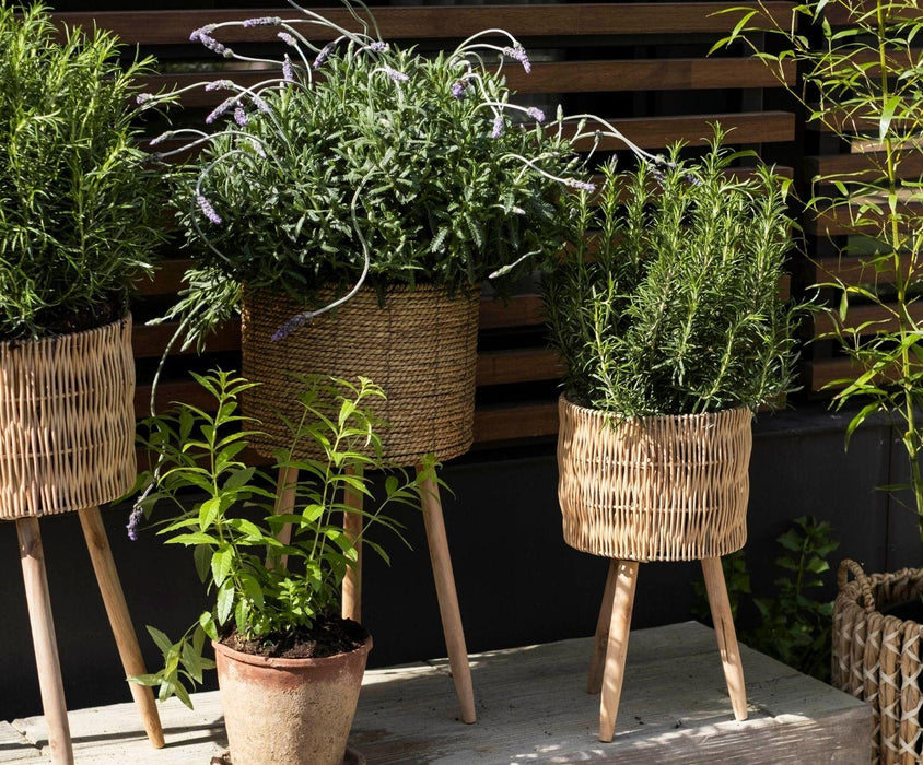 ANDREA HOUSE AX21542 Soporte Plantero Totora Ø30x58 CM