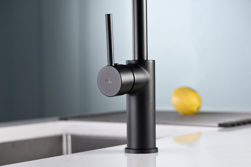 IMEX GCE020/NG KENIA Grifo de Cocina Negro Mate