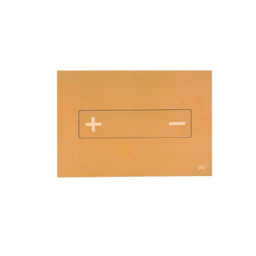 OLI 882412 OCEANIA Placa De Accionamiento Neumático Inox Oro