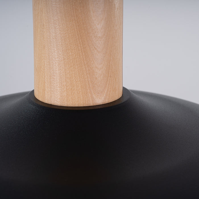 SOLLUX SL.1324 INDY Lámpara Colgante Negro