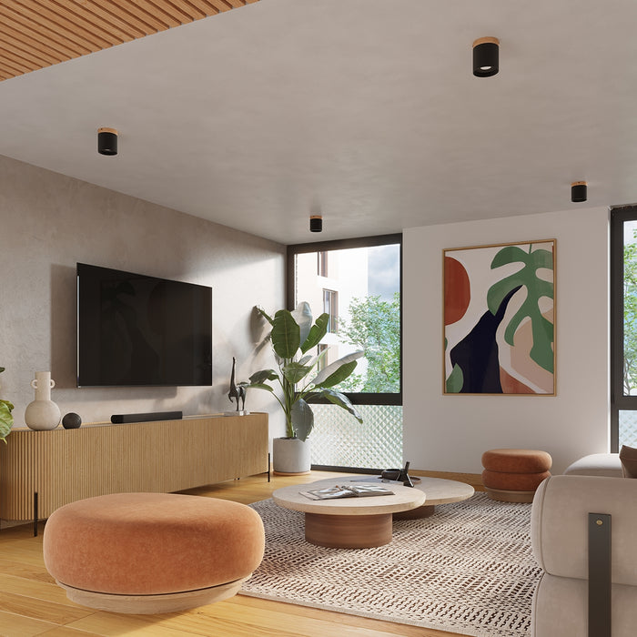 SOLLUX SL.1349 RIF Lámpara de Techo Negro