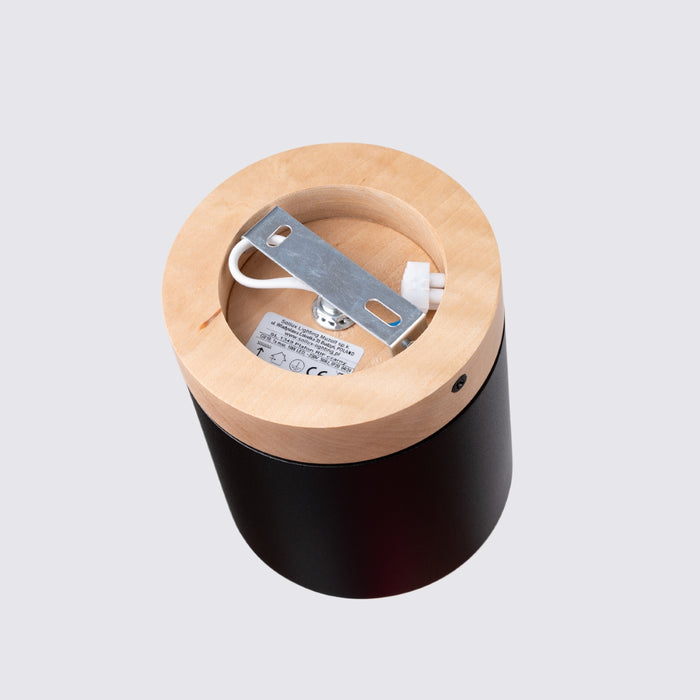 SOLLUX SL.1349 RIF Lámpara de Techo Negro