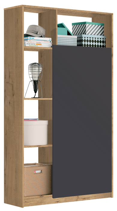 MUEBLES PITARCH Neo Oak gold/ gray Entryway Cabinet