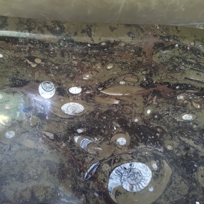 FORZINI FZ-BR/DV-MB-116 HYPNOS Lavabo de mármol Marron