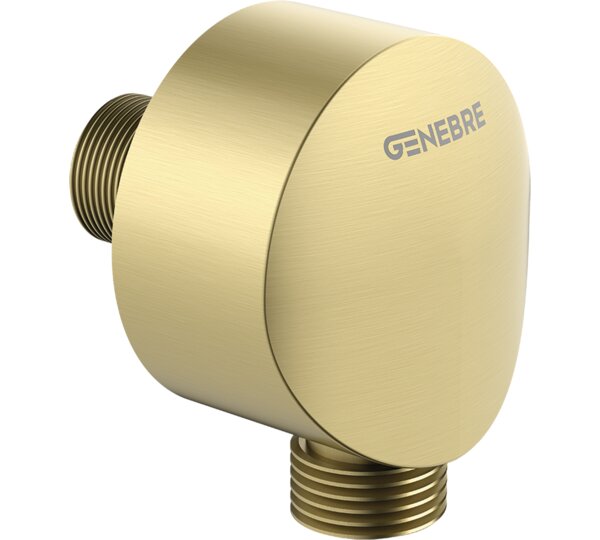 GENEBRE 1618 51 Toma Ducha Mural Redonda 1/2" Oro Cepillado