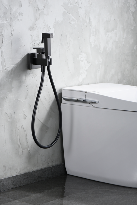IMEX RDM003/BGM IRELAND Built-in Bidet Faucet Black Gun Metal