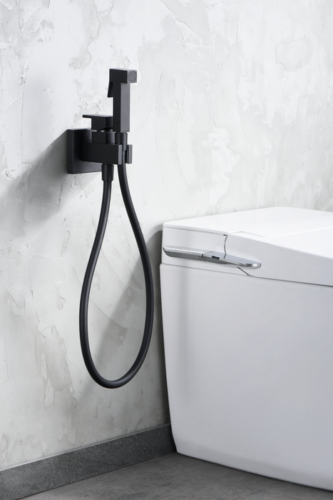 IMEX RDM003/NG IRELAND Matte Black Built-in Bidet Faucet