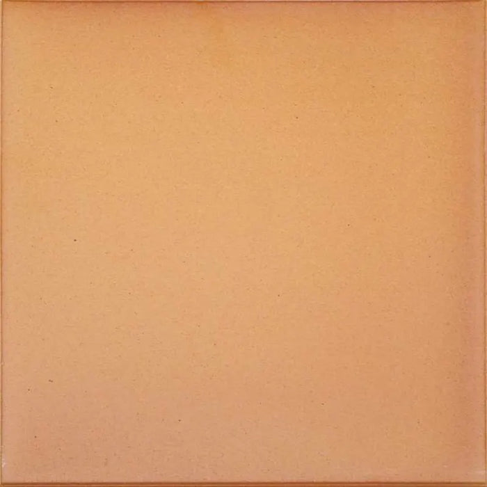 GRES DE ARAGON 900181 Base Natural Extrusionado 20x20