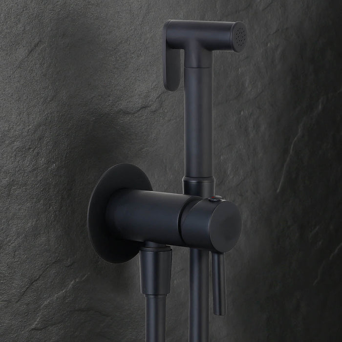 LLAVISAN L156474 Grifo Monomando WC Duchita Agua Fría Caliente Negro Mate