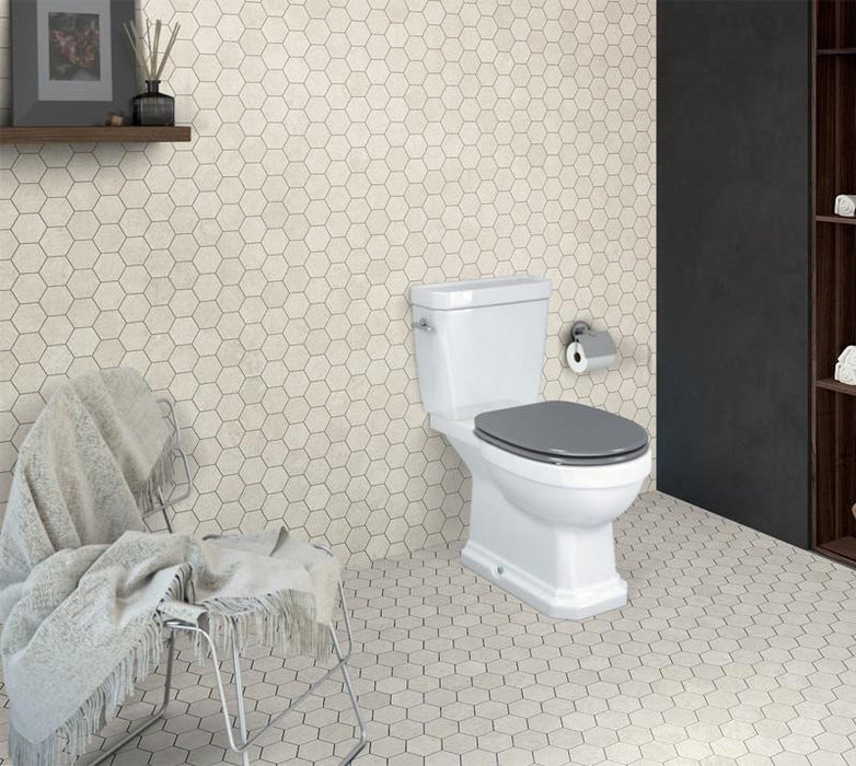 ROCA CARMEN Rimless Inodoro Completo Asiento Gris