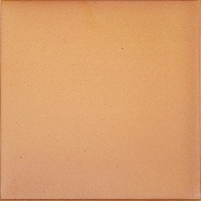 GRES DE ARAGON 901001 Base Natural Extrusionado 33x33 cm
