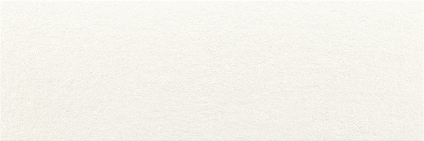 BALDOCER OZONE SNOW 30x90 White Paste Coating