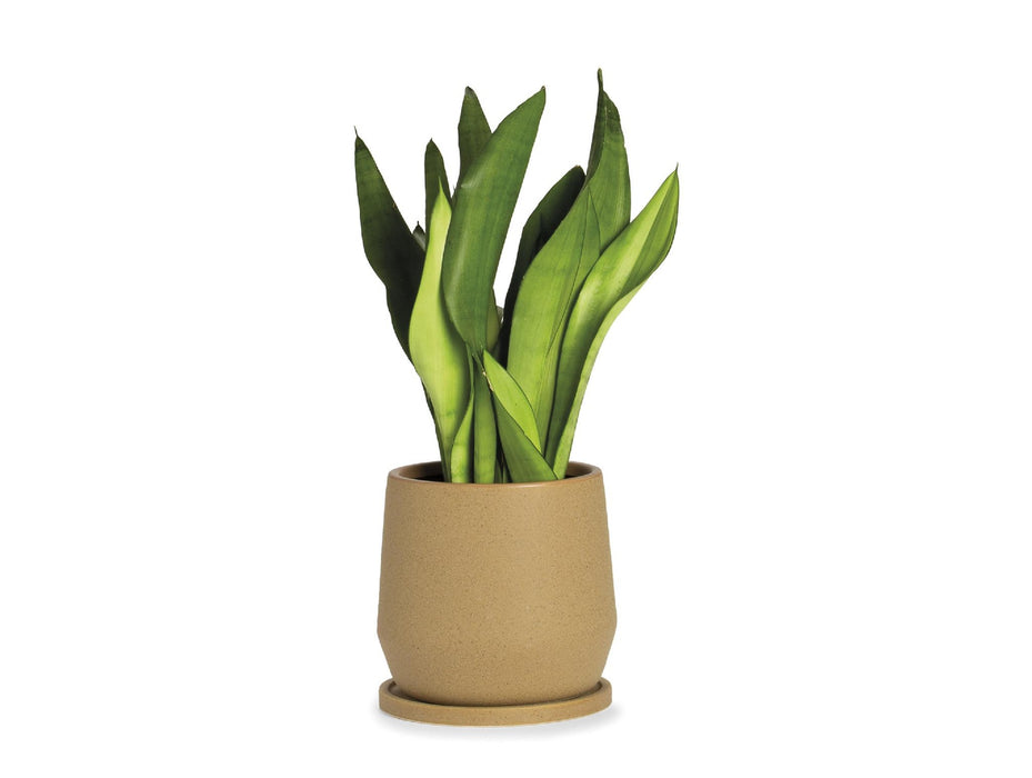 ANDREA HOUSE AX71195 Maceta Cerámica Beige Ø18X18 Cm