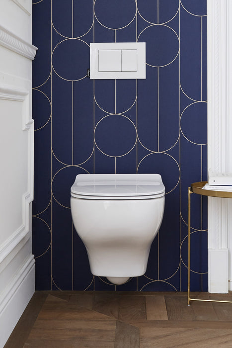 JACOB DELAFON STRUKTURA Inodoro Suspendido Blanco Con Asiento