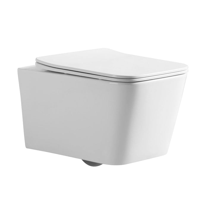 FOSSIL NATURA 00924 FLORENCIA Rimless Wall Hung Toilet White Gloss