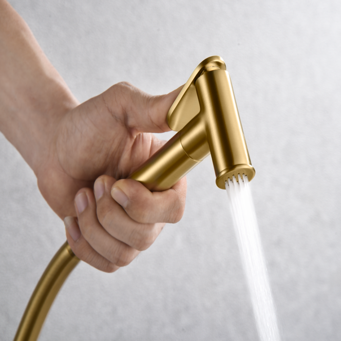 IMEX RDG053/OC GENOA Built-in Bidet Faucet Brushed Gold