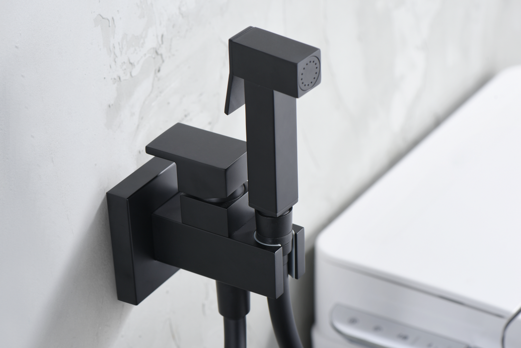 IMEX RDM003/NG IRELAND Matte Black Built-in Bidet Faucet