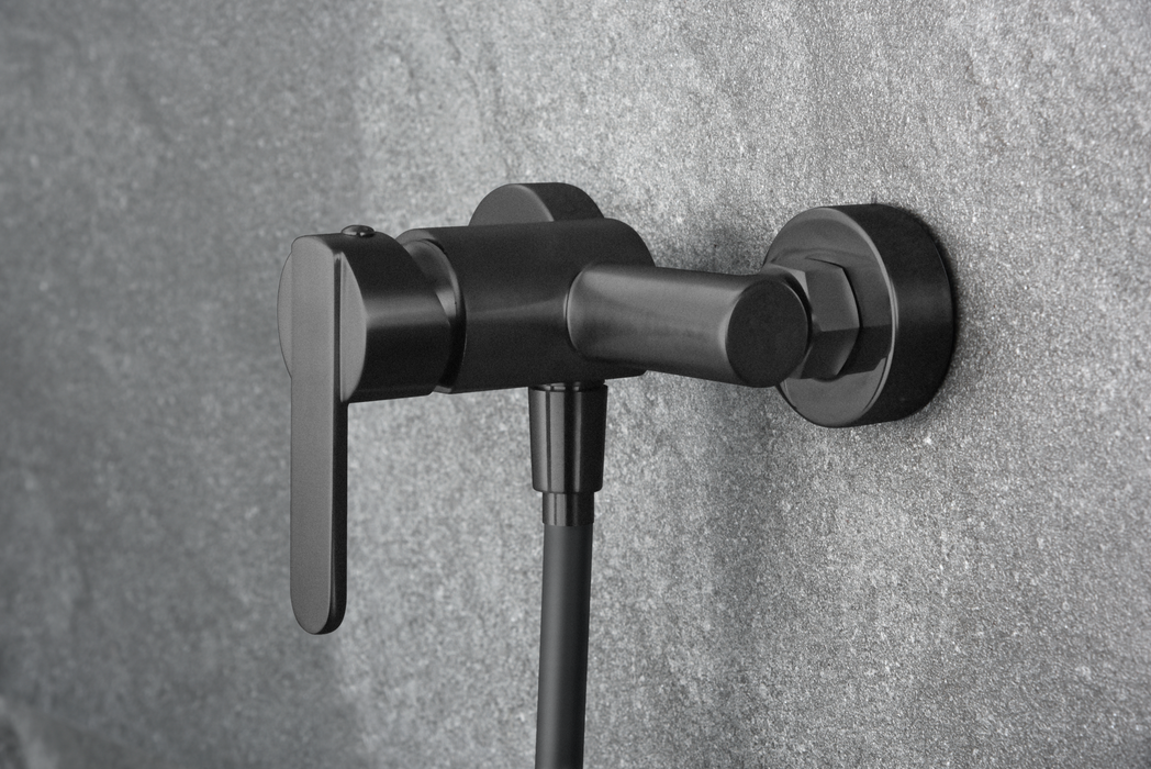 IMEX BDR001-5NG ROMA Matte Black Single-Handle Shower Kit