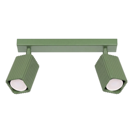 SOLLUX SL.3304 Lámpara De Techo Rayo 2 Verde Salvia