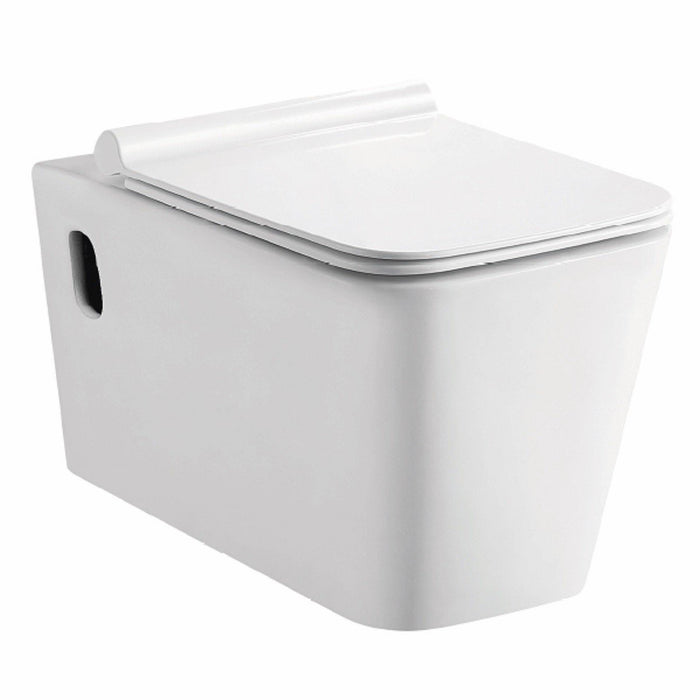 AQUORE 01409 PISA Wall Hung Toilet