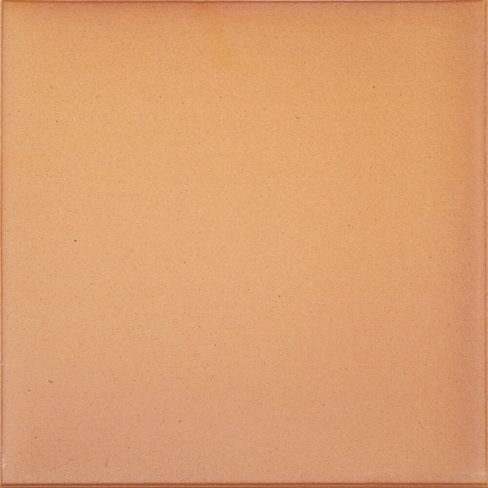 ARAGON STONEWARE 33x33 Natural Extruded Stoneware