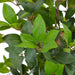 VXL Planta Artificial Árbol De Laurel Con Macetero 150 Cm Verde 5 a 7 Días VXL 