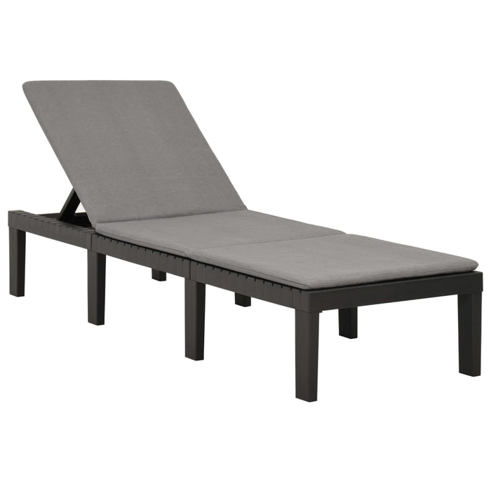 VXL Lounger With Anthracite Gray Plastic Cushion