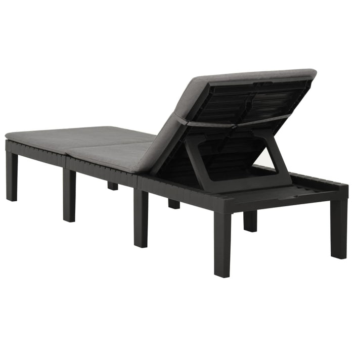 VXL Lounger With Anthracite Gray Plastic Cushion