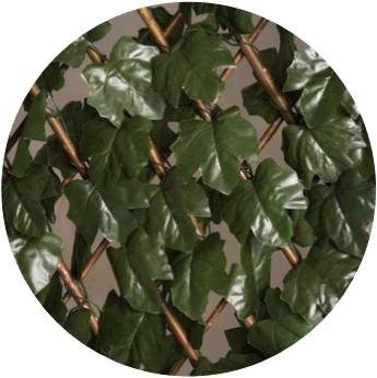 BONERVA MAL0514 TODOGOMA