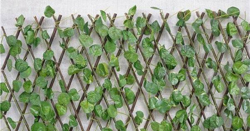 BONERVA MAL0514 TODOGOMA