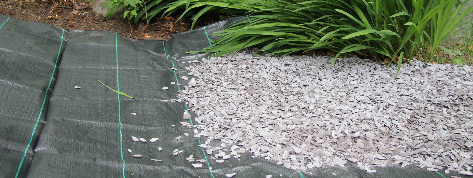 BONERVA MAL1075 TODOGOMA