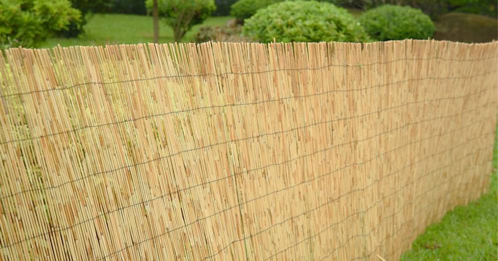 BONERVA MAL0427 TODOGOMA