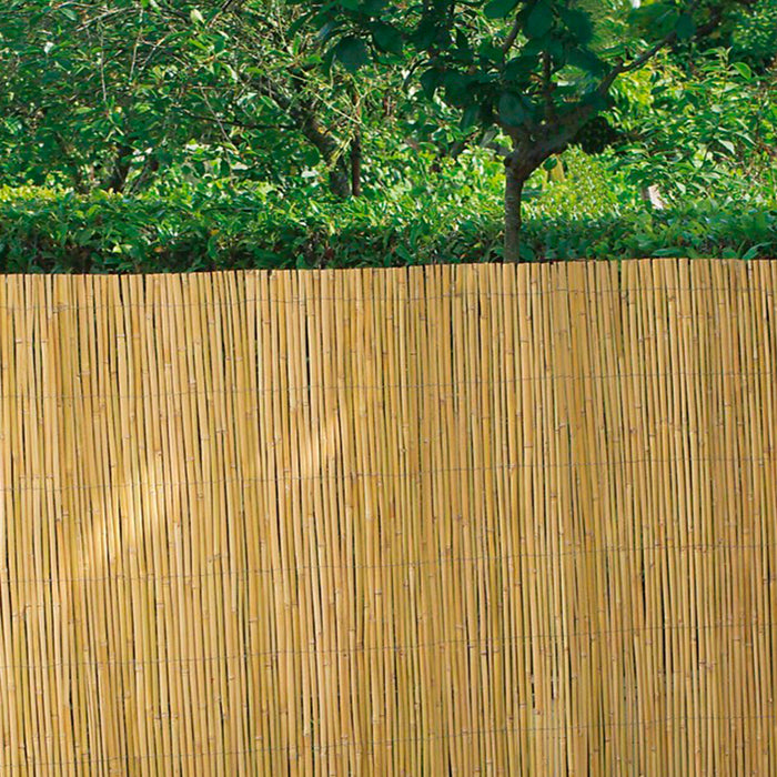 BONERVA MAL0427 TODOGOMA