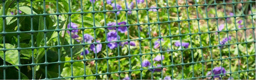 BONERVA MAL0215 TODOGOMA