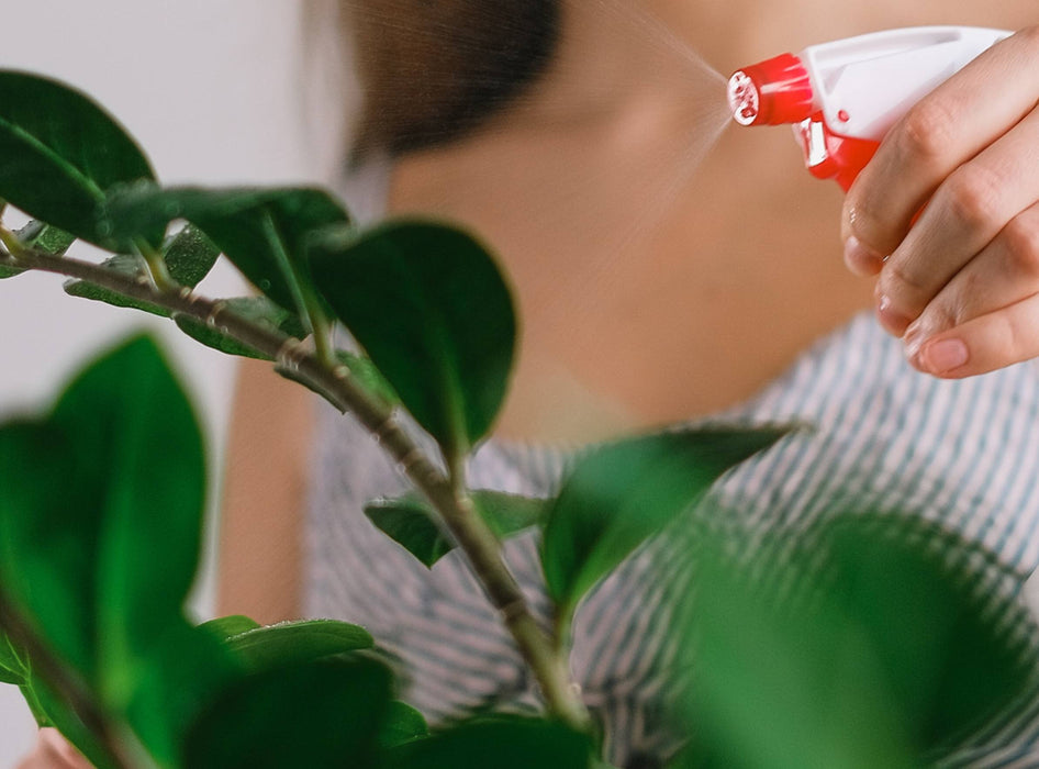 BONERVA PUL2001 TODOGOMA